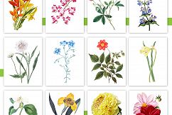 Entire Vintage Collection -Over 1000 Illustrations Product Image 5
