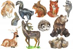 Woodland Watercolor clip art Product Image 3