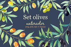 Olive set. Watercolor collection. Product Image 1