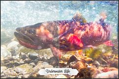 Yellowstone Profiles LR 7.3 ACR 10.3 Product Image 27