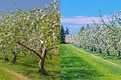 26 Landscape Photoshop Actions Collection (Action for photoshop CS5,CS6,CC) Product Image 4