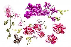 Hand Drawn Watercolor BUNDLE 5 Product Image 23