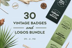 Vintage Badges and Logos Bundle V02 Product Image 1