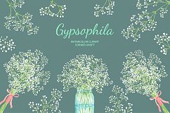 Hand painted watercolor clipart white baby&#039;s breath, gypsophila Product Image 1