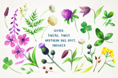 Wild flowers 2. Watercolor set. Product Image 9