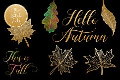 Autumn &amp; Fall Leaves Clipart Set Product Image 3