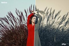 Cool Lightroom Presets Product Image 3