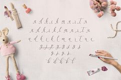 Allison Script Product Image 4