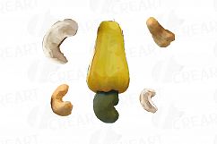 Nuts clip art pack, Watercolor nuts chart, food print Product Image 7