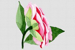 Wonderful pink camellia PNG watercolor set Product Image 6