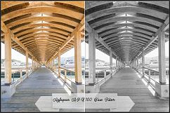 AGFA B&amp;W Films Profiles LR 7.3 ACR 10.3 Product Image 8