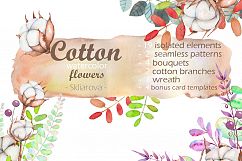 Cotton watercolor clip art Product Image 1