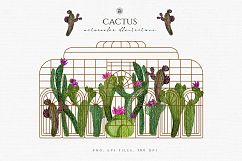 Cactus Watercolor Illustrations Product Image 1