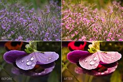 Lilac Lr Presets Product Image 9