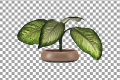 Leafy plants clip art collection, Watercolor plants in pot Product Image 5