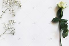 White Rose Mockup. PSD &amp; JPG. Product Image 2