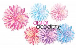Dahlia Product Image 2