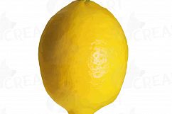 Watercolor lemons, branch and leaves clip art pack, watercolor lemon clip art, exotic fruit, png, pdf, jpg, svg, eps, vector files included. Product Image 3