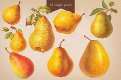 Cider House Antique Apple and Pear Graphics Product Image 9