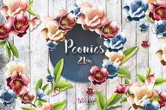 Peonies Product Image 6