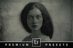 Wet Plate Effect Lightroom Presets Product Image 5