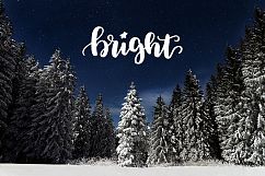 49 Christmas photo overlays Product Image 5