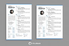 Clean Simple Resume / CV Product Image 3