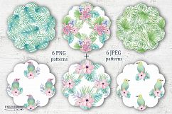 Tropical watercolor set 3. Plumeria Product Image 4