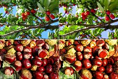 Fruits Lr Presets Product Image 2