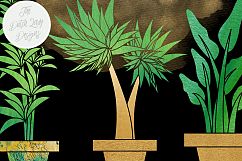 Potted Plants Clipart Set Product Image 3