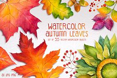 Autumn leaves. Watercolor set. Product Image 1