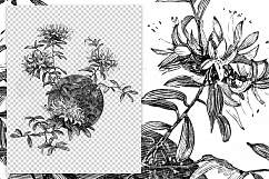 Trailing Arbutus Leaves - Vintage Florals Product Image 2