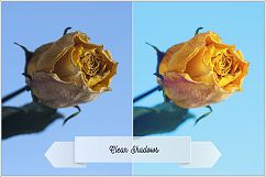 Incredible Flowers Profiles LR7.3 ACR10.3 Product Image 3
