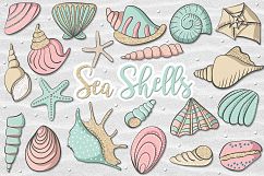 Sea Shells Product Image 1