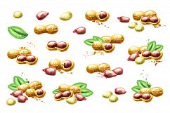 HAND PAINTED WATERCOLOR peanuts set Product Image 2