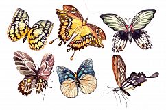 Beautiful watercolor butterflies Product Image 3