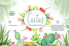 Cactus watercolr clipart collection Product Image 3