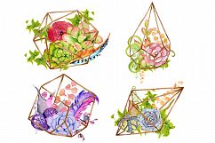 Succulents terrarium creator Vol.1 Product Image 3