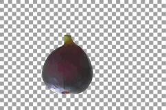 Watercolor Fig clip art pack,common fig leaves, fig fruit Product Image 20