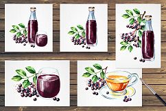 Elderberry. Watercolor collection Product Image 5
