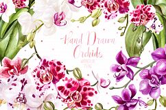 Hand Drawn Watercolor Orchids 2 Product Image 1