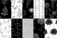 Black &amp; White Botanical Patterns Product Image 2