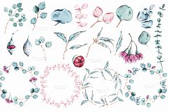 Eucalyptus watercolor clipart Product Image 2