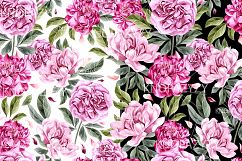 Hand Drawn Watercolor 9 Pattern Product Image 7
