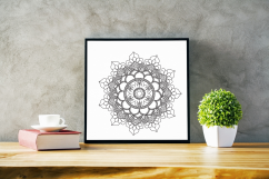 40 Elegant Vector Mandala Product Image 1