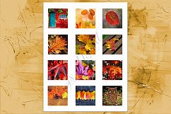 Fall Leaves, Digital Collage Sheet, Printable Images Product Image 3