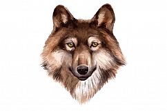 Watercolor forest wolf vector Product Image 1