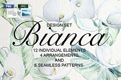 Bianca Watercolor Design Set Product Image 1
