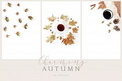 20 Charming autumn mockups &amp; stock photo bundle Product Image 4