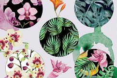 Tropical set Product Image 10